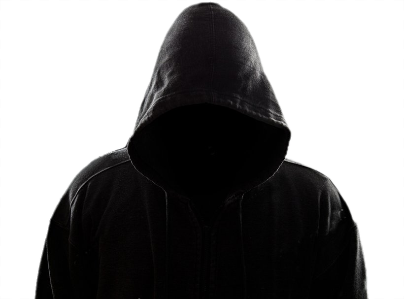 Professional Hacker